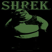 Момче Shrek Standing Green Shrek Graphic Tee Черен голям