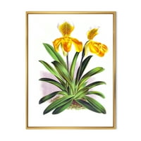 Дизайнарт 'Жълта Реколта Орхидея' Традиционна Рамка Платно Стена Арт Принт