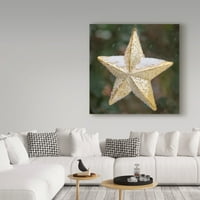 Изобразително изкуство 'Златна Звезда със сняг' платно изкуство от кора Ниле
