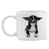 Млада чаша Chihuahua - изображение от Shutterstock