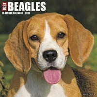 Просто календар на стената на Beagles