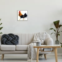 Ступел индустрии петел птица стъпване пухкави пера акварел подробно Живопис сива рамка изкуство печат стена изкуство, дизайн от Джанел Браг