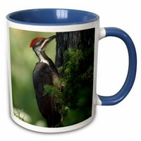 3Drose Pileated Woodpecker Bird, остров Namakan, MN - US RKL - Raymond Klass - Blue Tone Blue, 11 -унция