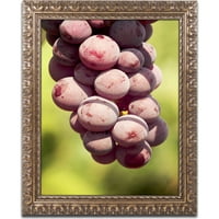 Търговска марка изобразително изкуство домашно грозде платно изкуство от Джейсън Шафър, Златна украсена рамка