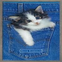 Кийт Кимбърлин - коте - Плакат за джобна стена, 14.725 22.375