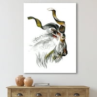 Черно-бял портрет на коза живопис платно Арт Принт