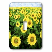 3Drose Field of Sunflowers - Еднократно превключване на превключвателя