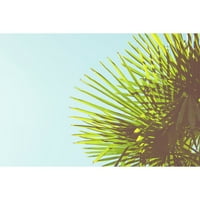 Мармонт хил слънчеви палми живопис печат върху увито платно